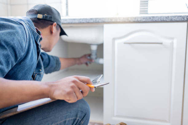 Best Local Plumber Services  in Caro, MI