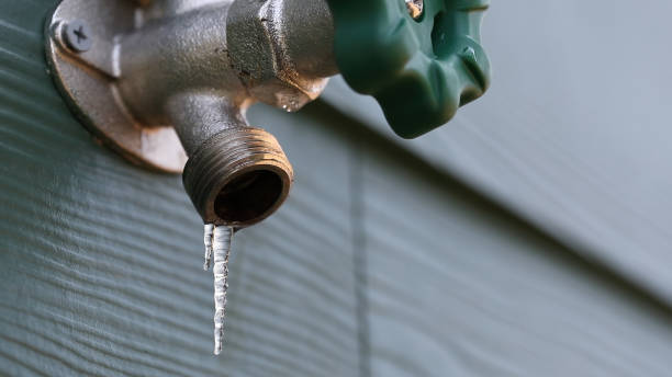 Sprinkler Systems in Caro, MI