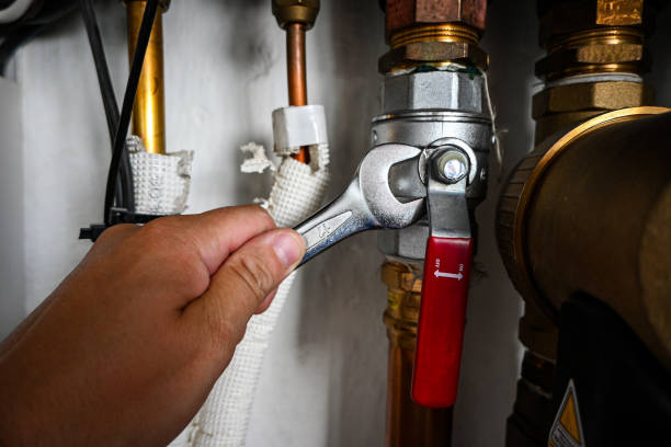 Best Residential Plumbing Services  in Caro, MI